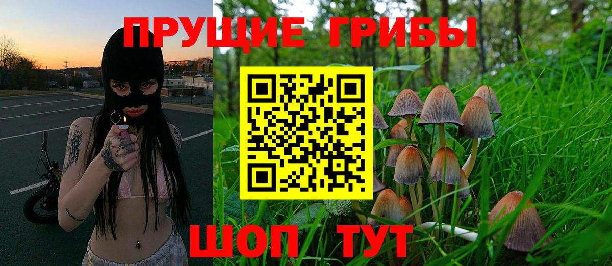 Псилоцибиновые грибы MAGIC MUSHROOMS  Вход с VPN  Галлюциногенные грибы прущие грибы  Надым 