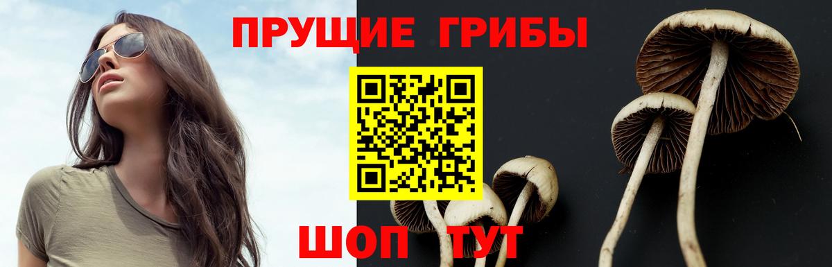 Галлюциногенные грибы мухоморы Надым